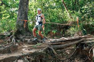 BIB: 
                            <button type="button" onclick="openModal(27557720)" class="btn btn-primary btn-sm float-right btn-popup" data-toggle="modal" data-target=".modal-high-quality">
                        <i class="fas fa-shopping-cart"></i> Add to Cart
                    </button>
                                            <button type="button" onclick="isThisMe(27557720, true)" class="btn btn-success btn-sm float-right btn-popup btn-isme hidden" data-toggle="tooltip" data-placement="bottom" title="นี่คือรูปของคุณใช่ไหม คลิกที่นี่เพื่อเอาเข้าอัลบั้ม">
                        <i class="fas fa-plus"></i> Add to album
                    </button>
                    <button type="button" onclick="isThisMe(27557720, false)" class="btn btn-warning btn-sm float-right btn-popup btn-isnotme hidden">
                        <i class="fas fa-ban"></i> Remove from album
                    </button>